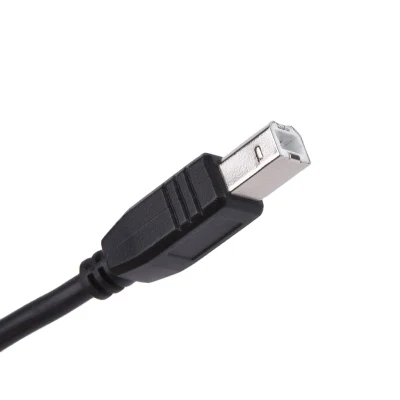 고품질 USB 2.0 프린터 충전 케이블, USB A 수 - B 수